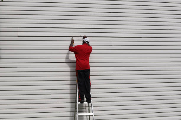 Best Siding Painting and Refinishing  in Bridgeport, NY